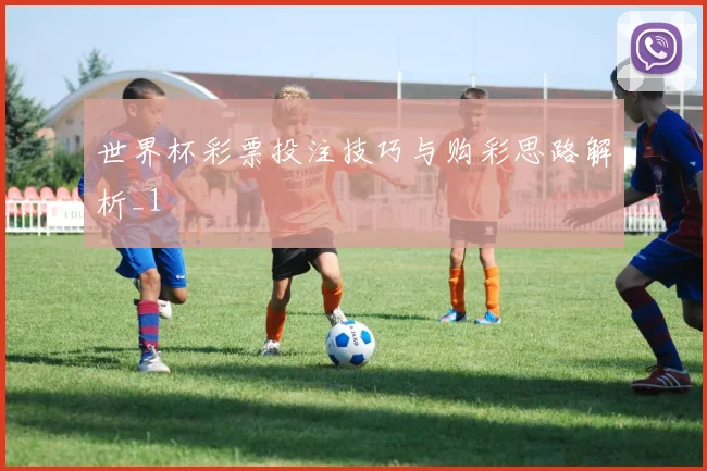 世界杯彩票投注技巧与购彩思路解析_1