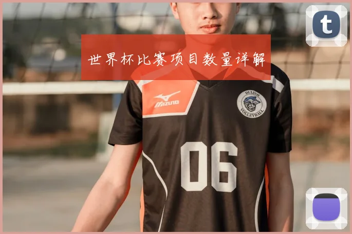 世界杯比赛项目数量详解