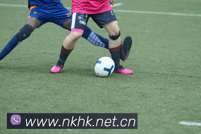 App Interface Preview